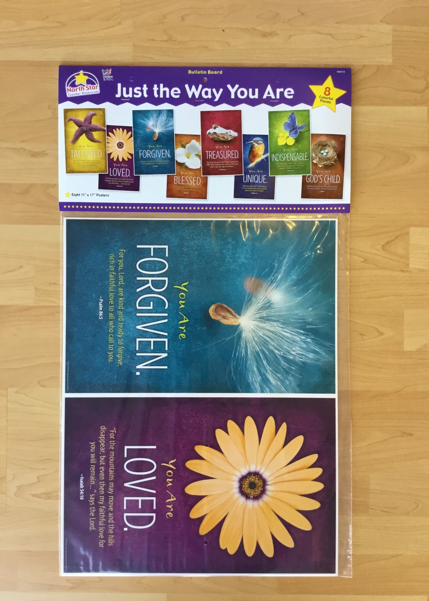 Just the Way You Are Poster Bulletin Board Set