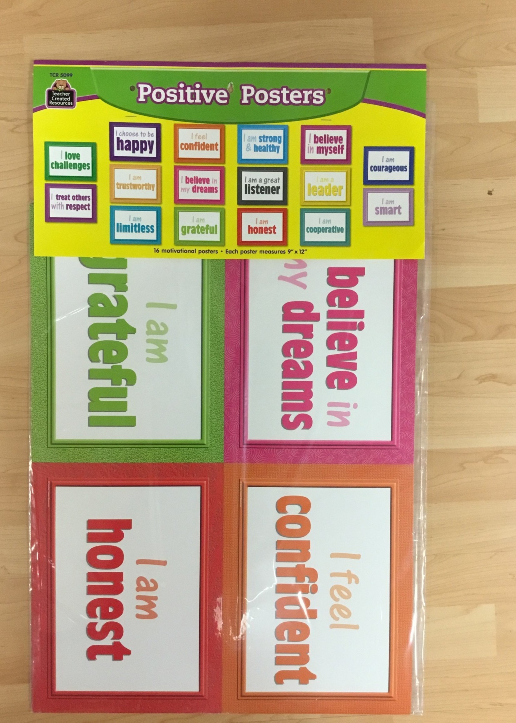 Positive Posters Bulletin Board Set 16pc