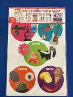 Early FUNdamental Skills Posters Bulletin Board Set