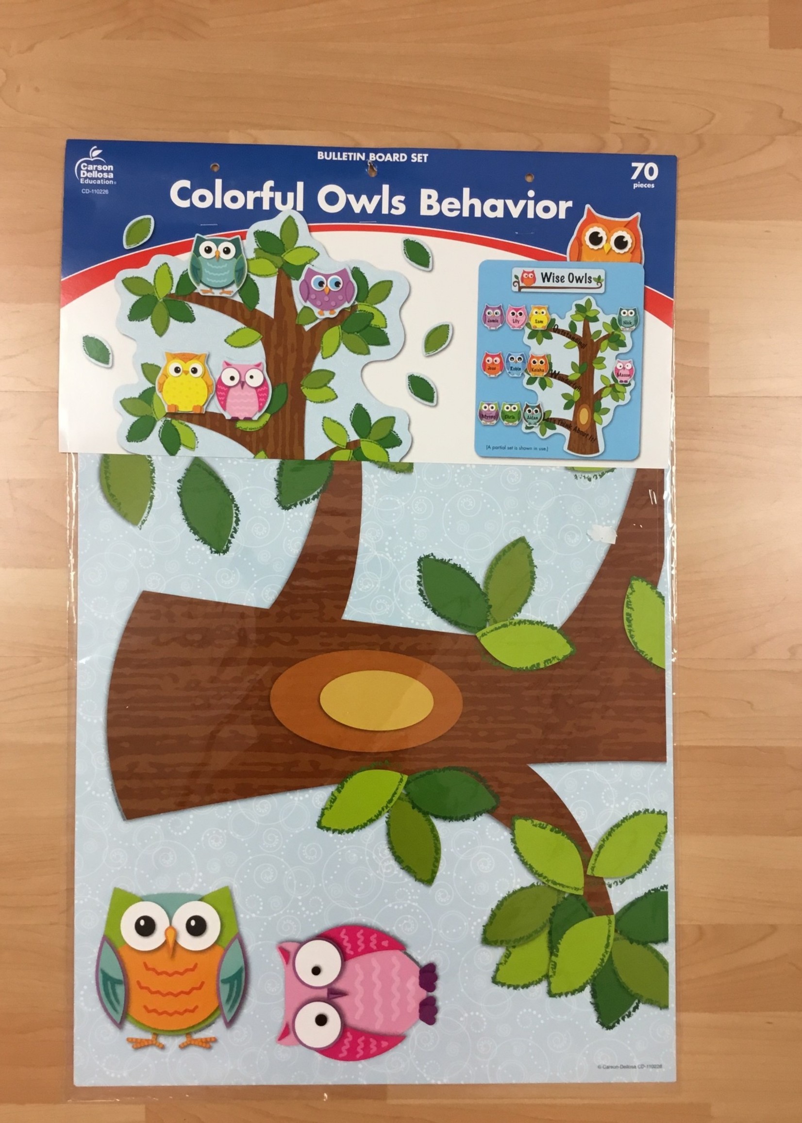 Colorful Owls Behavior Bulletin Board