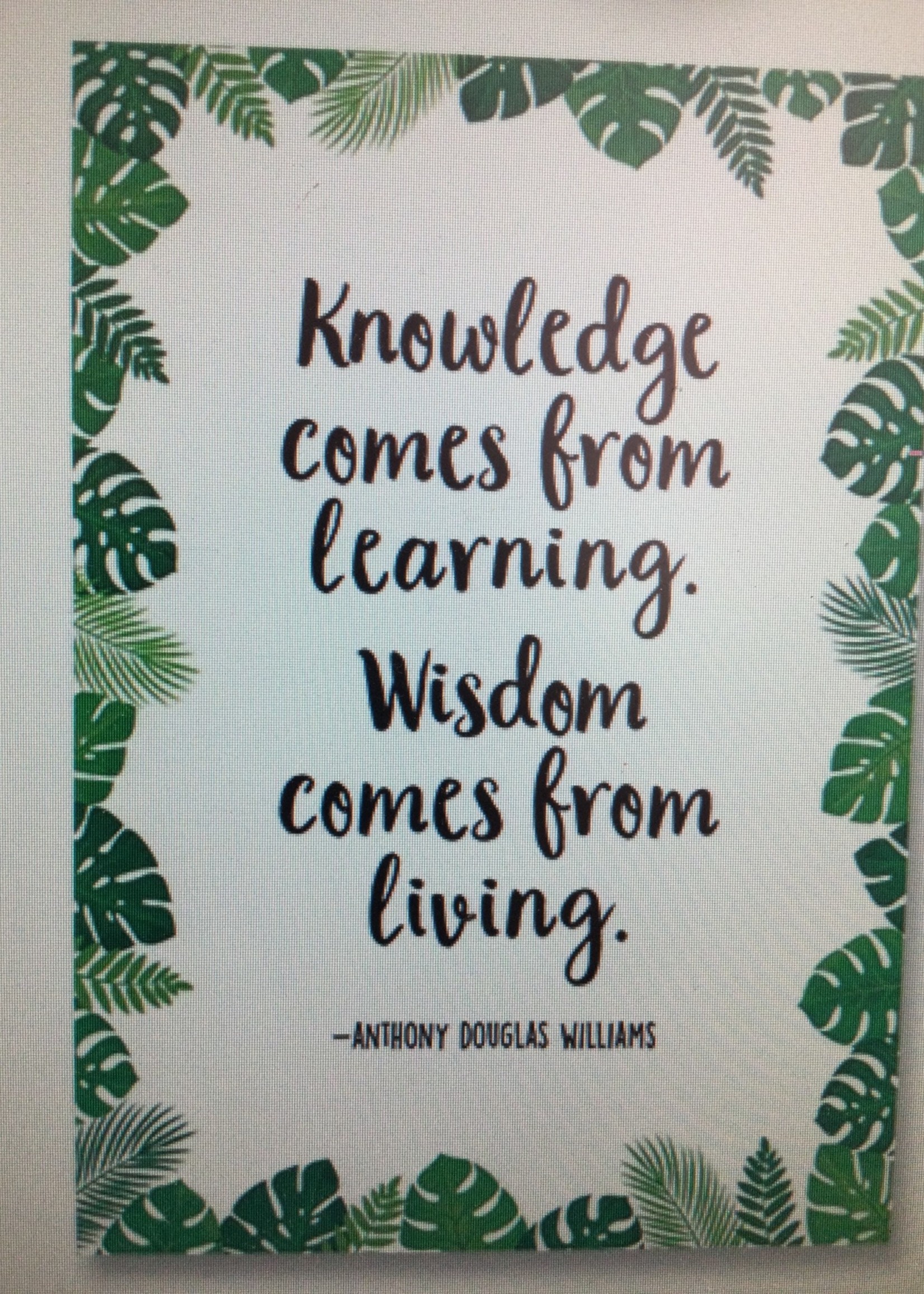 Knowledge Comes From Learning Poster