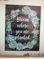 Schoolgirl Style Bloom Where You are Planted Chart