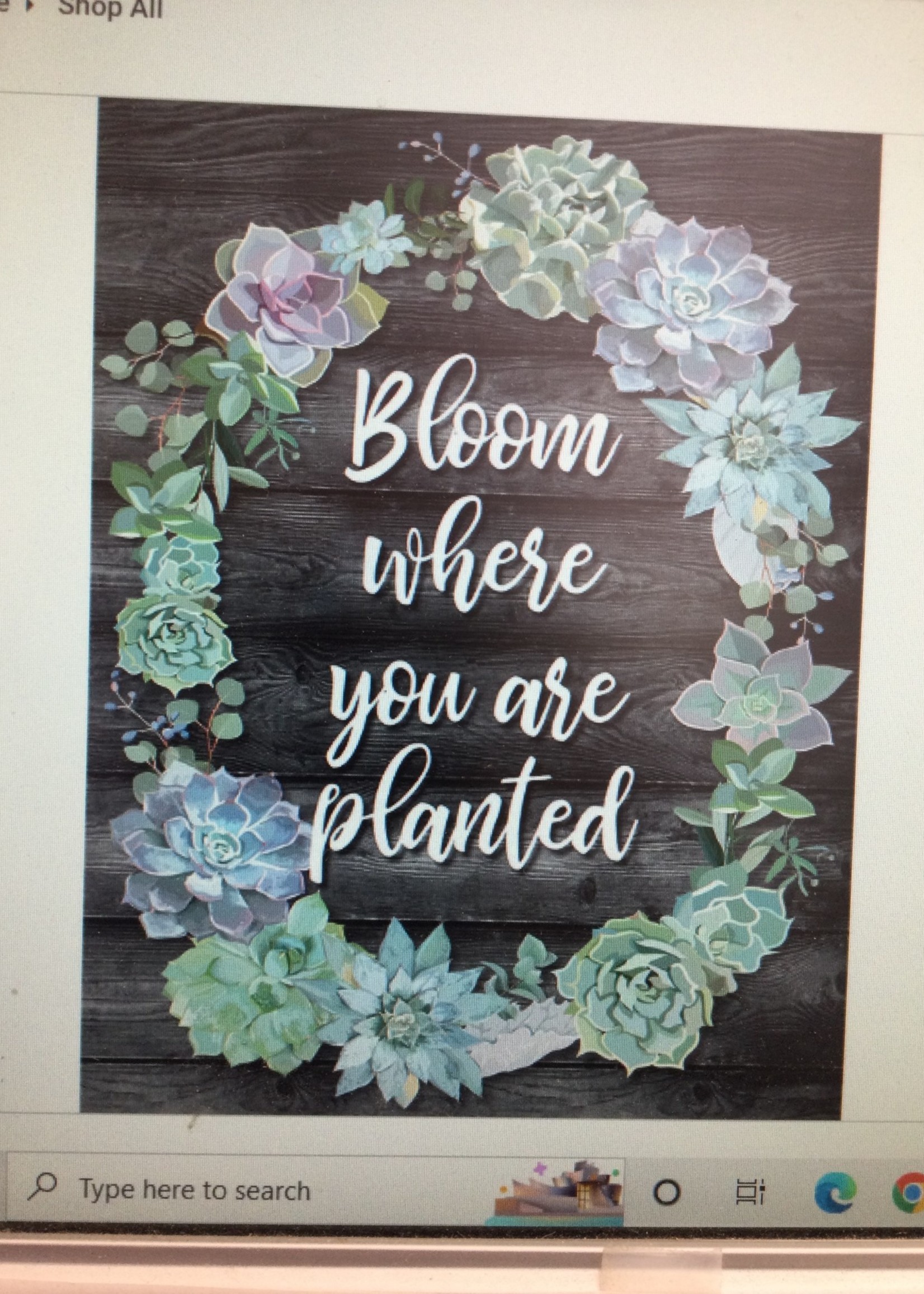 Schoolgirl Style Bloom Where You are Planted Chart