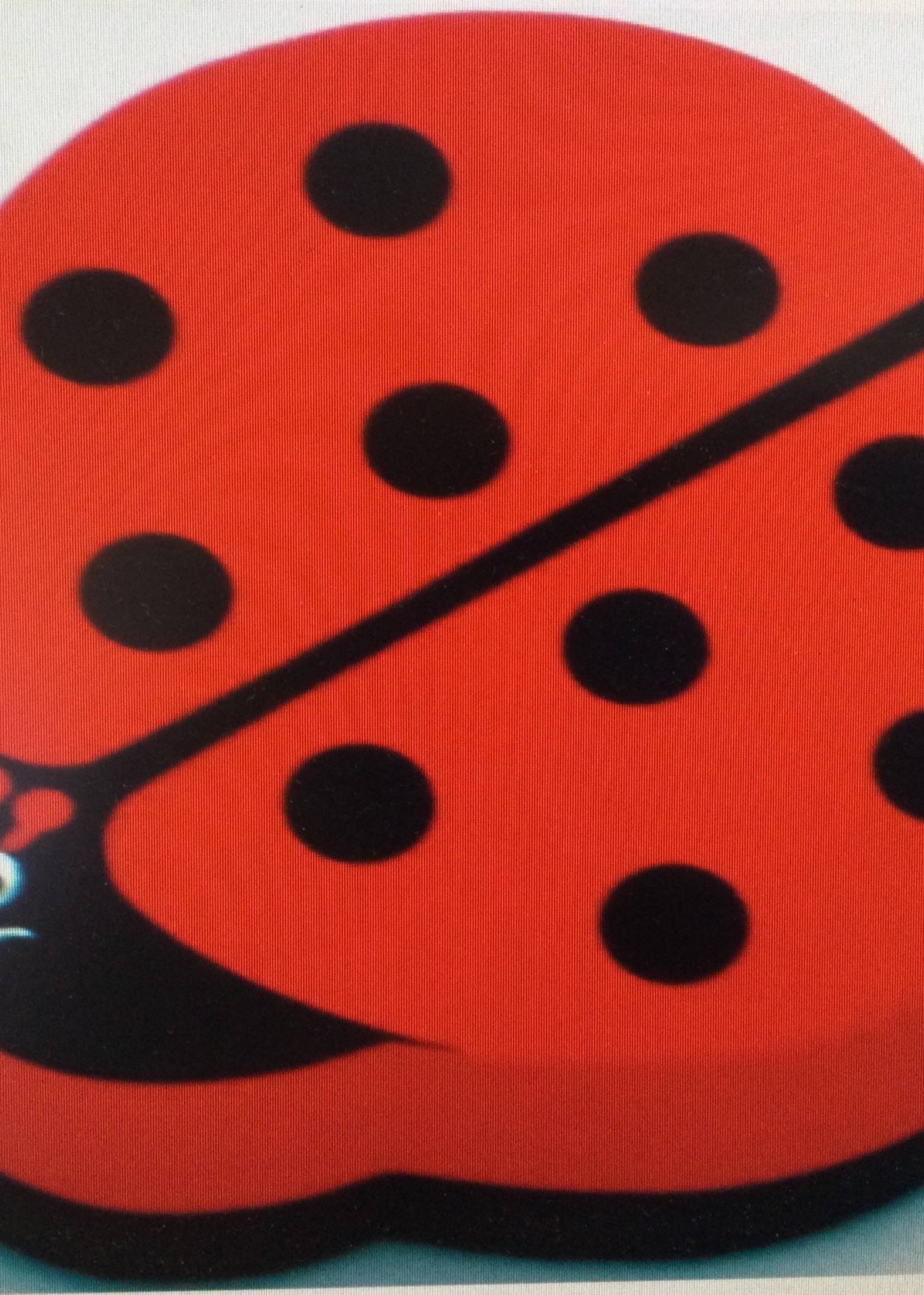 Ladybug Magnetic Whiteboard Eraser