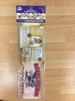 Revolution! Becoming America Mini Bulletin Board