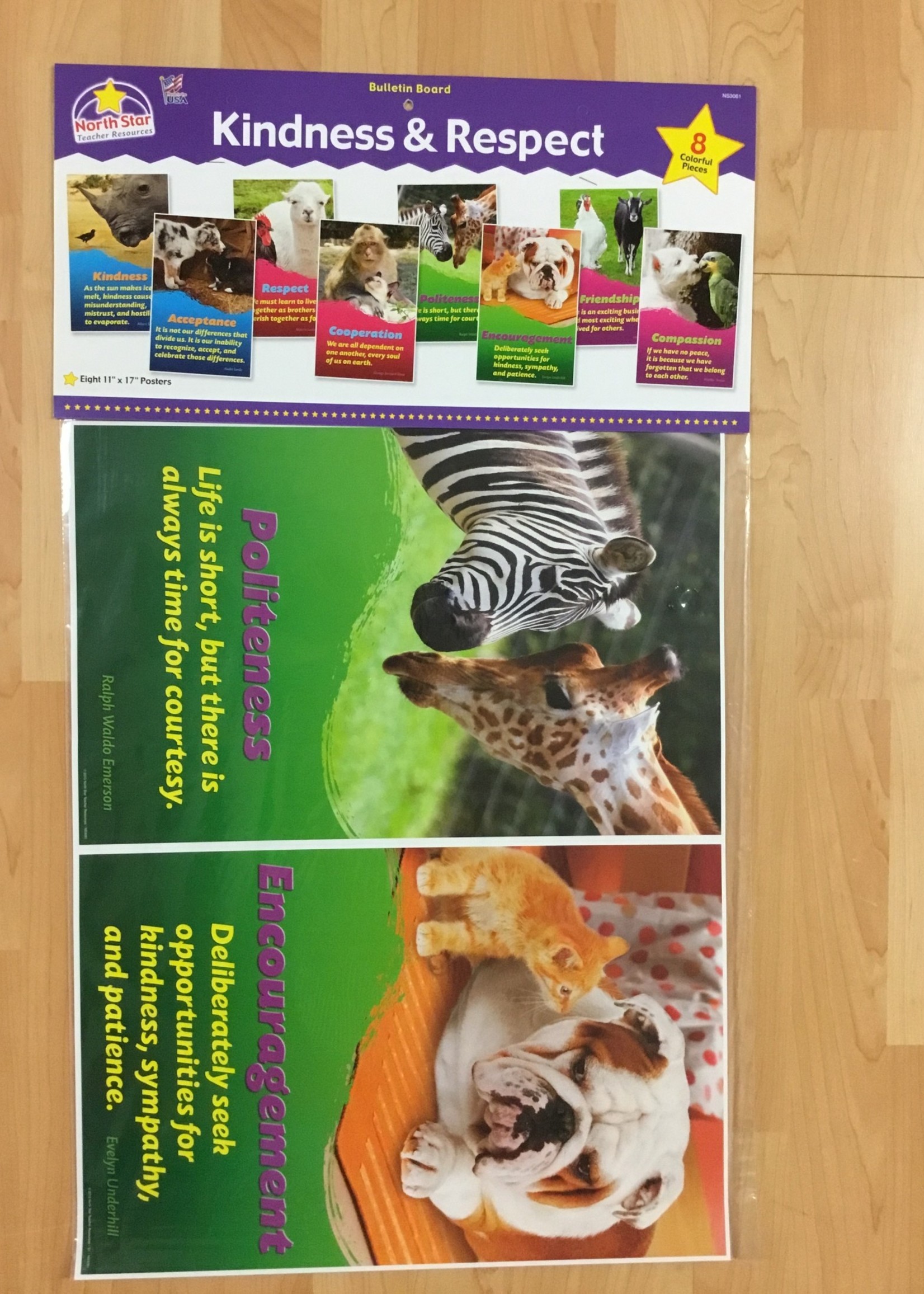 Kindness & Respect Posters Bulletin Board Set 8pc