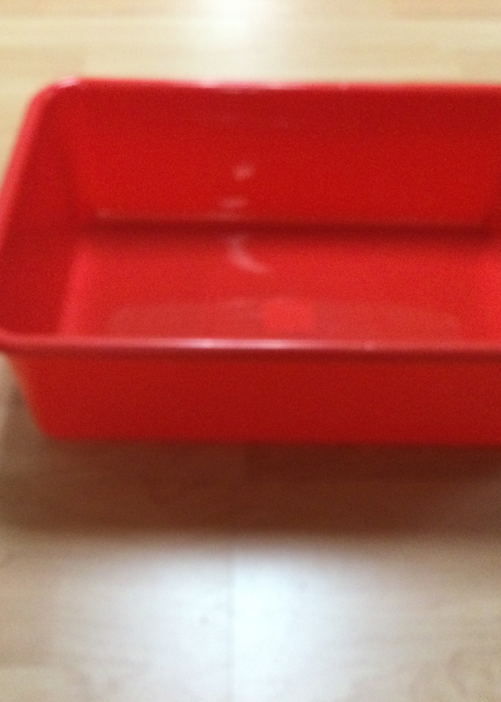 Large Red Plastic Storage Bin