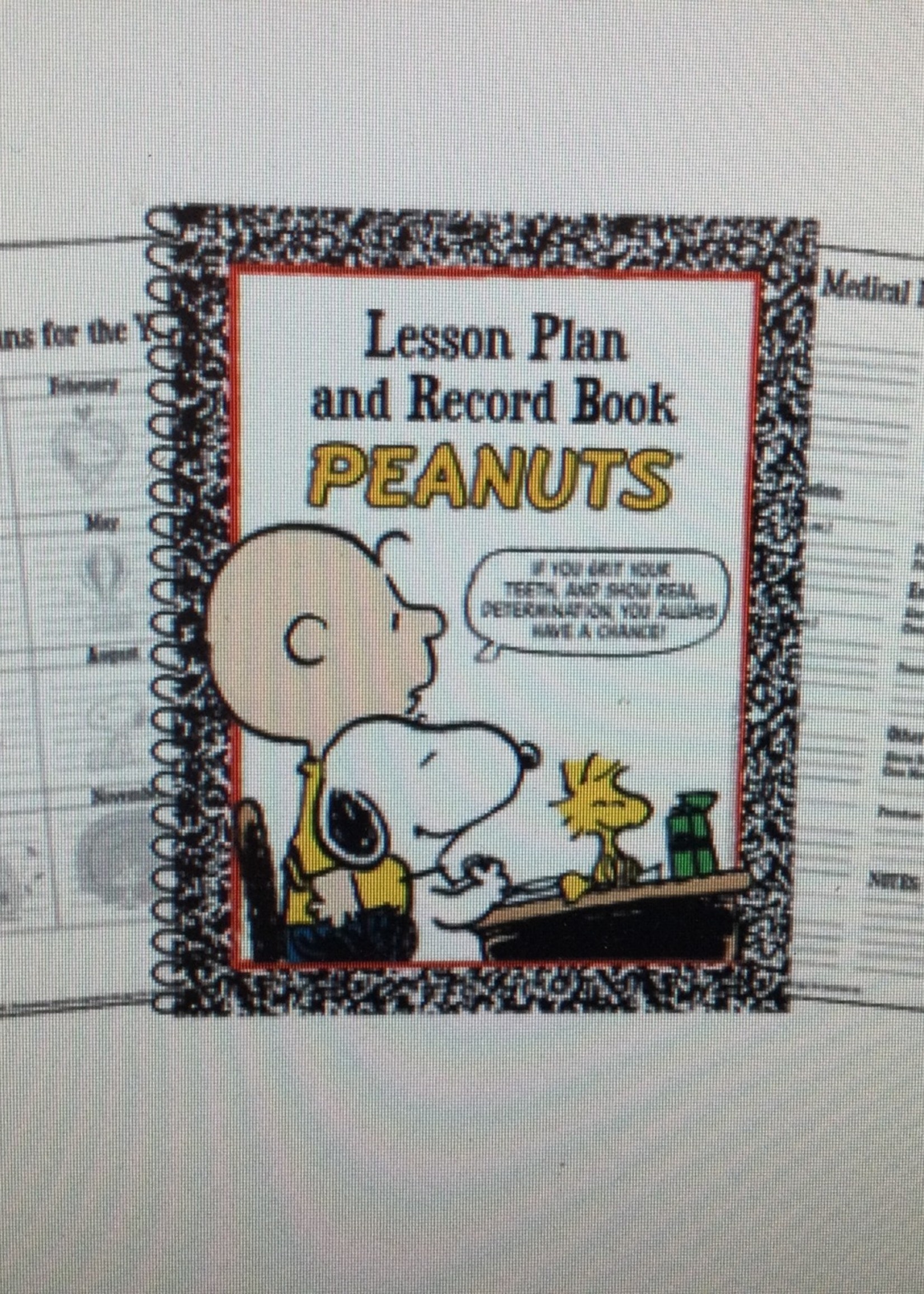 Peanuts Lesson Plan & Records
