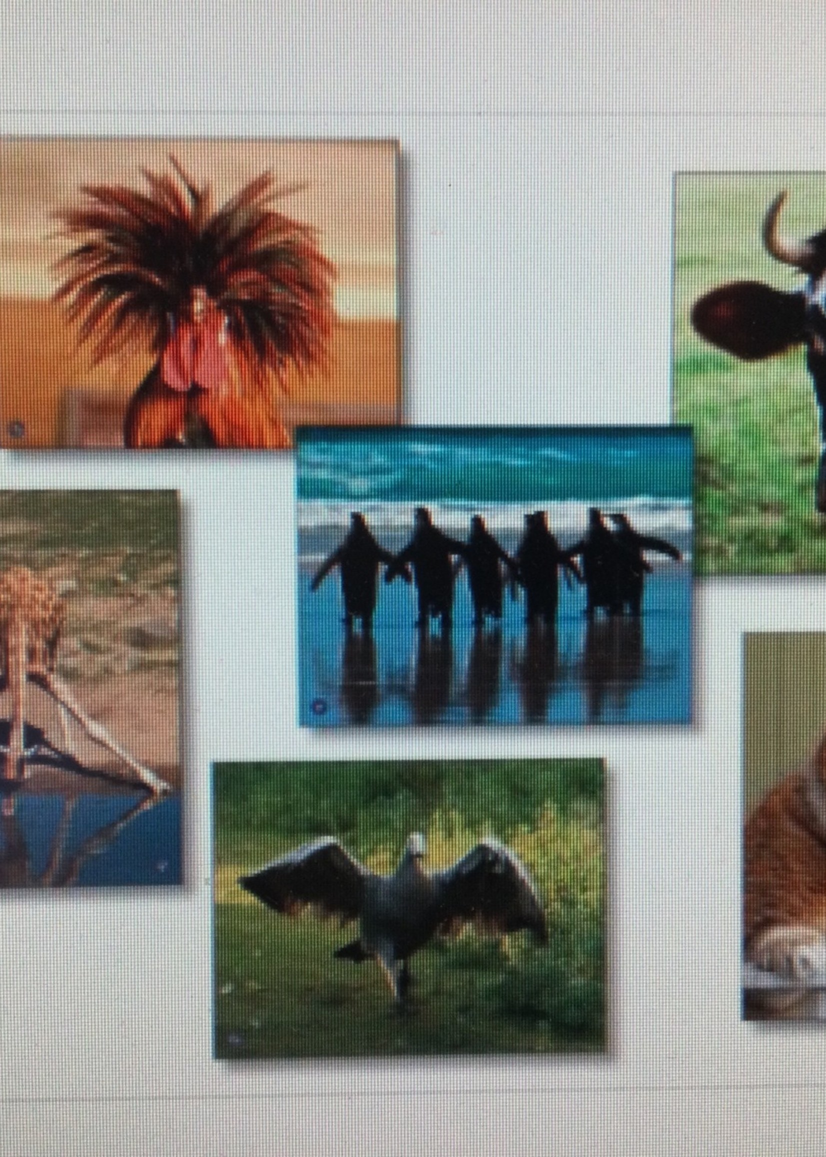 Amusing Animals Language Cards 68 photos