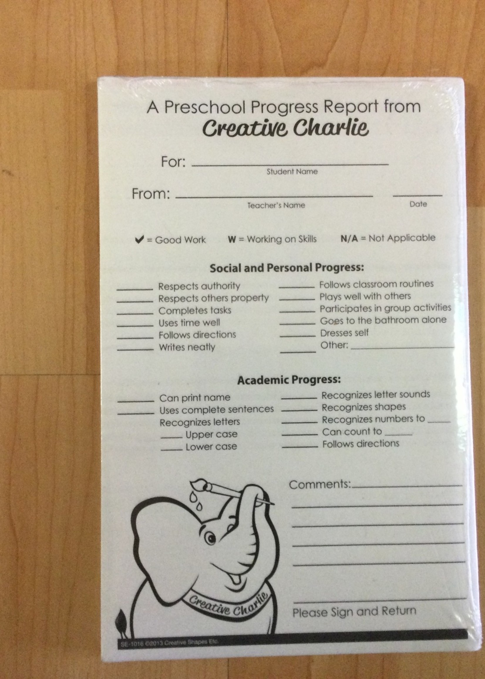 Duplicate Preschool Progress Report Notes 50 forms