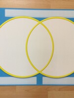 Wipe-Off Venn Diagram Chart