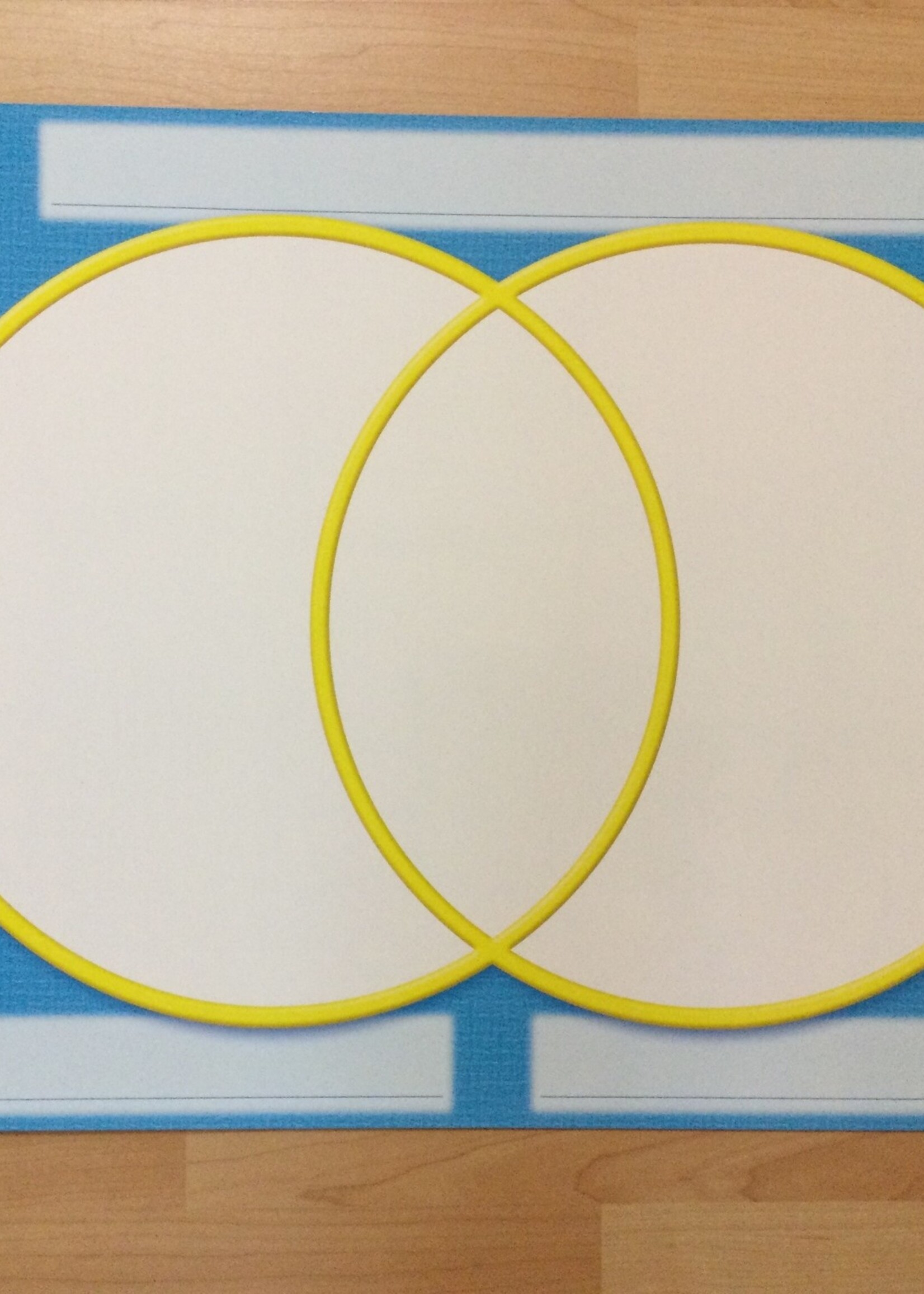 Wipe-Off Venn Diagram Chart