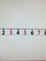 Magnetic Number Line