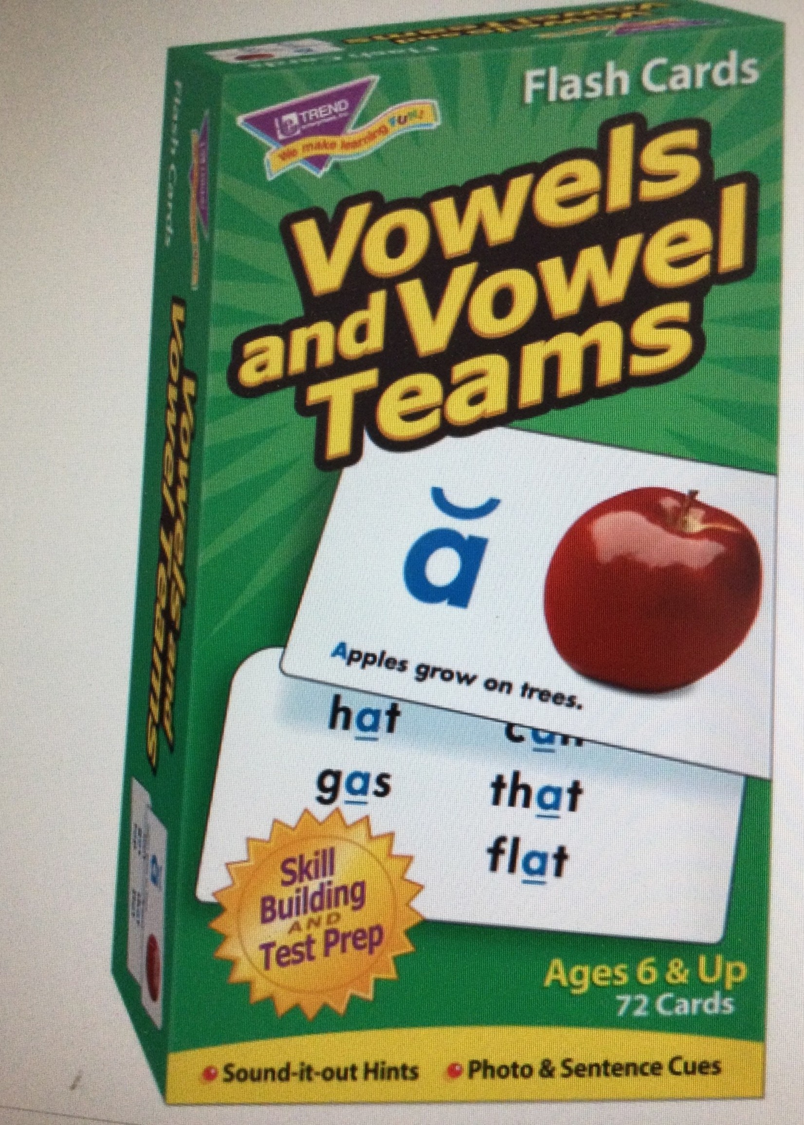 Vowels & Vowel Teams Flash Card