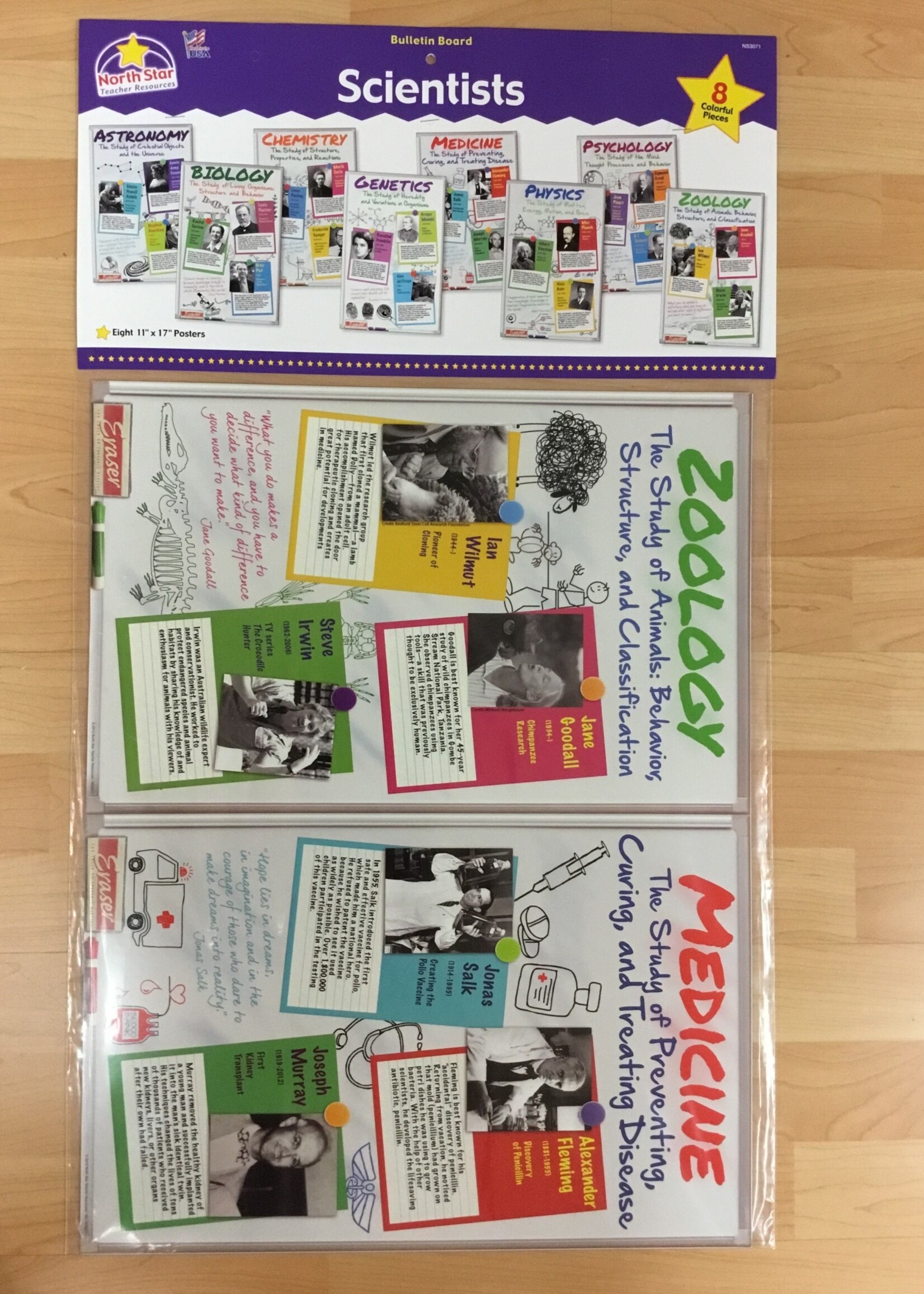 Famous Scientists Bulletin Board