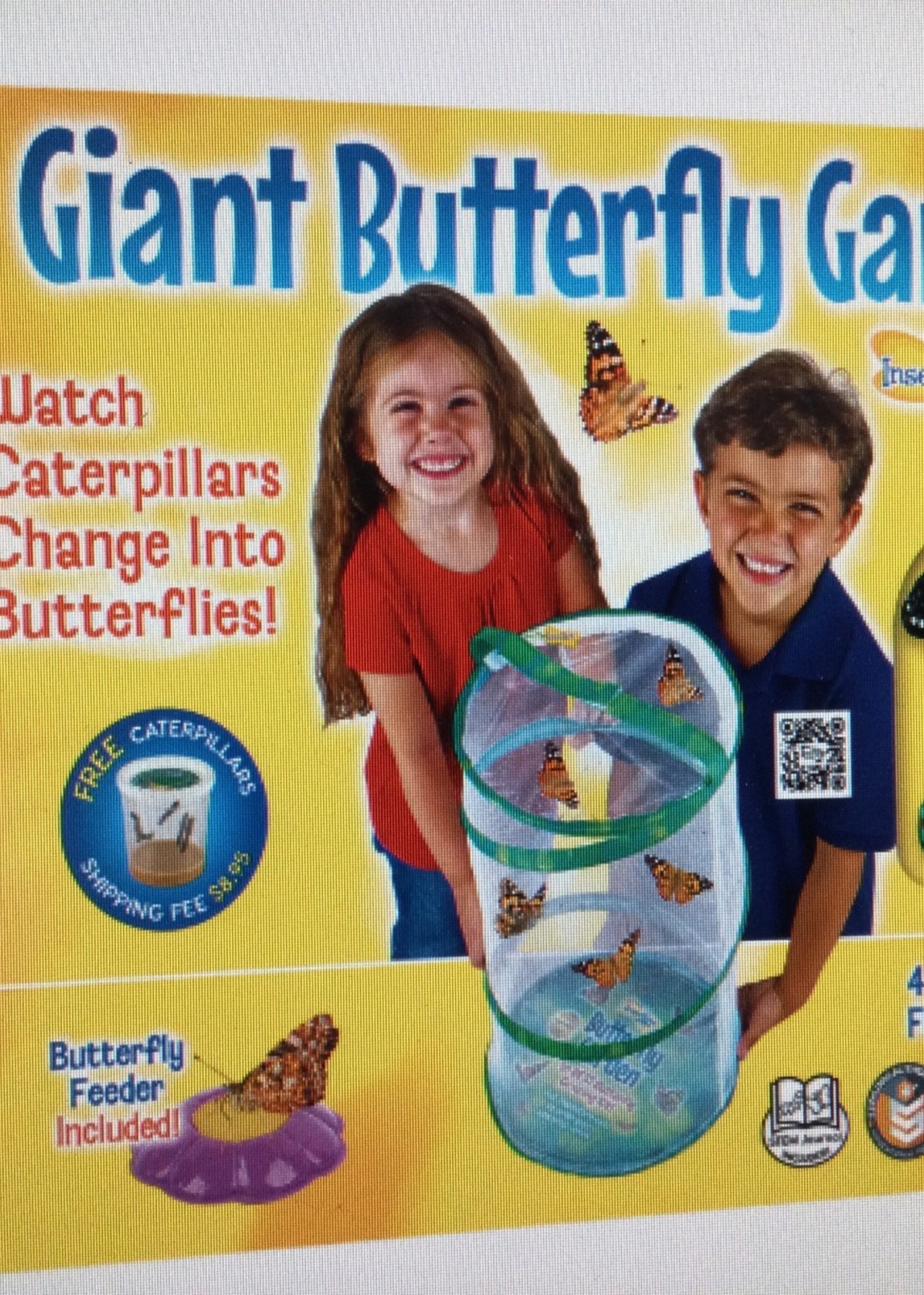 Giant Butterfly Garden