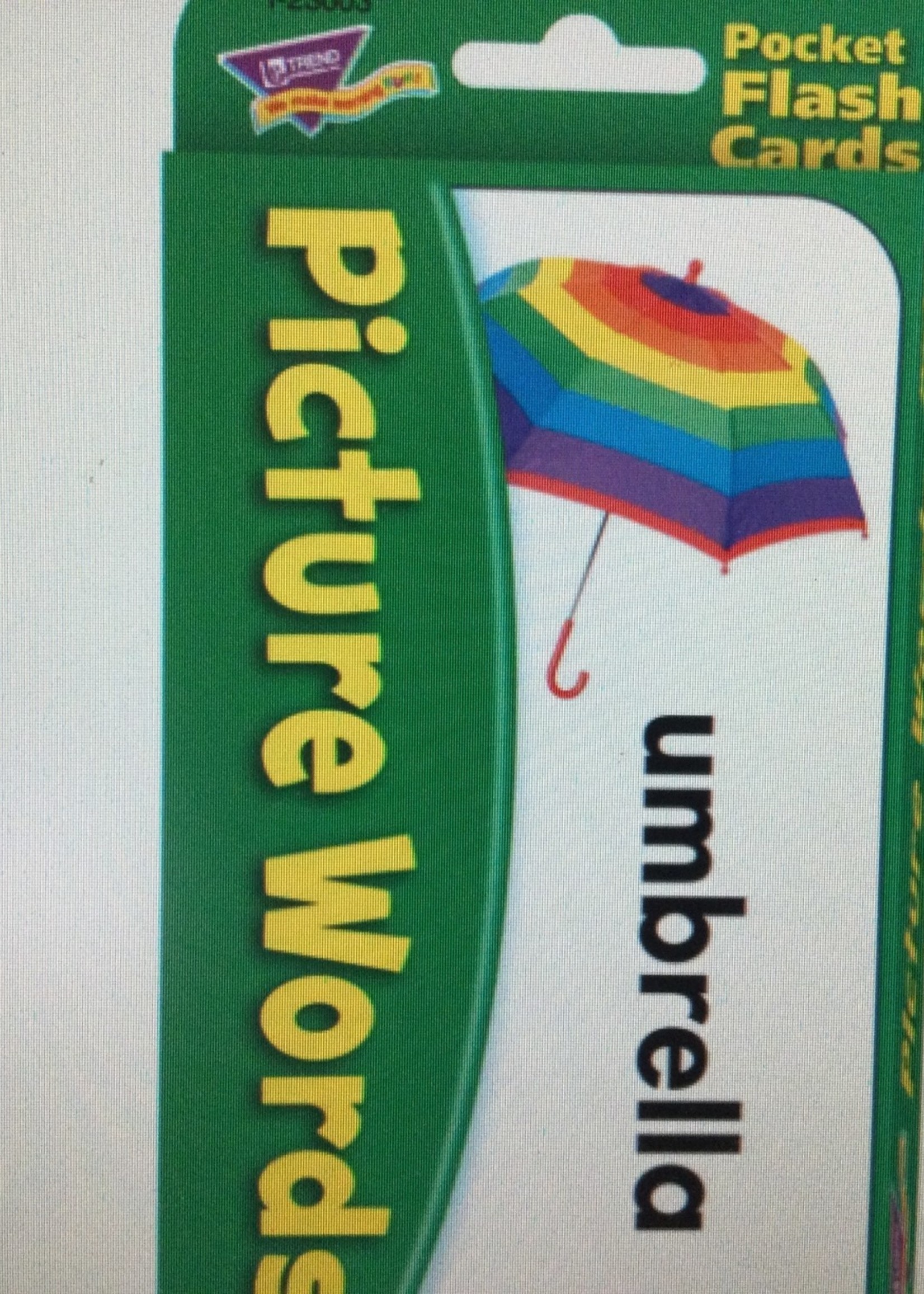 Picture Words Flash Cards 53pc