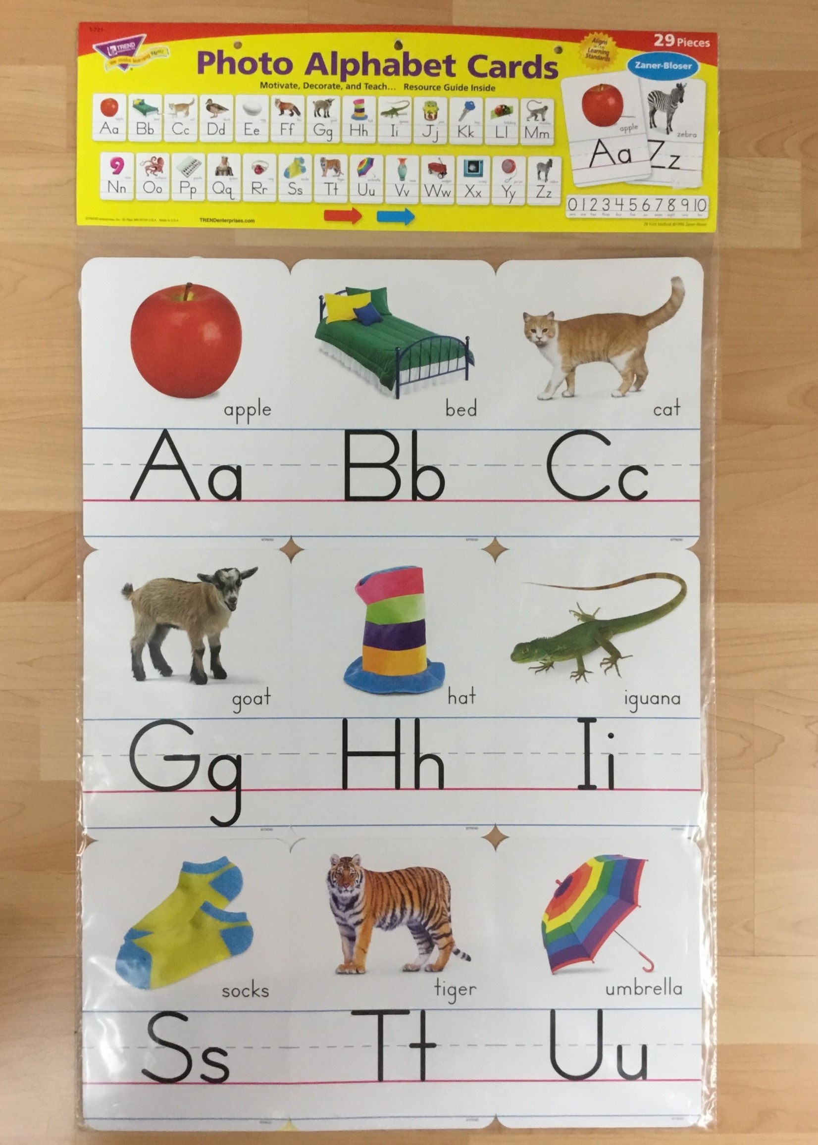 Photo Alphabet Cards Bulletin Board