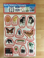 Early Science Concepts Bulletin Board