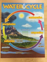 Water Cycle Chart