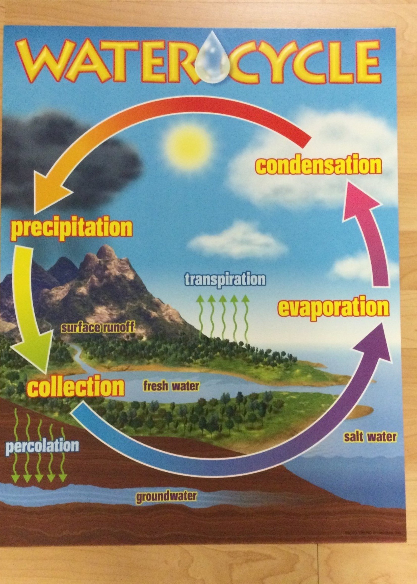 Water Cycle Chart