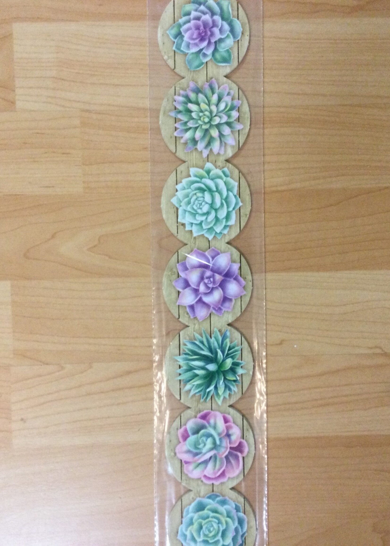 Rustic Bloom Succulents Border