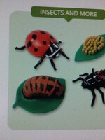 Ladybug Life Cycle Figurines