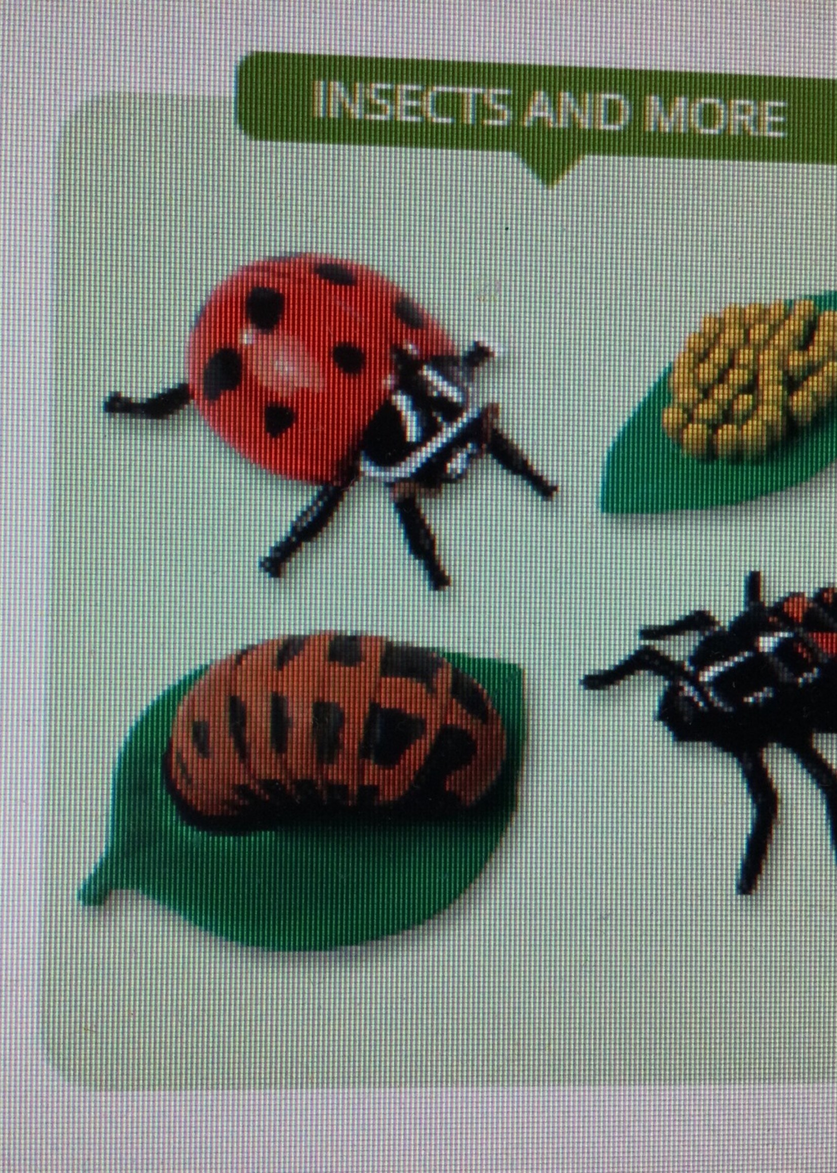 Ladybug Life Cycle Figurines