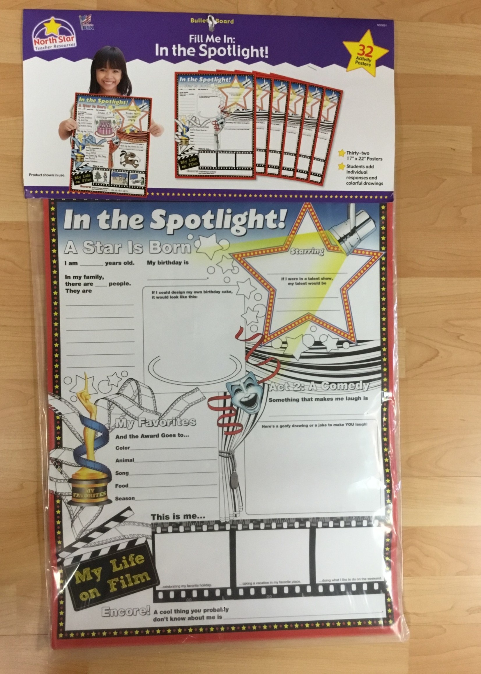Fill Me In: In the Spotlight! Activity Posters 32pc