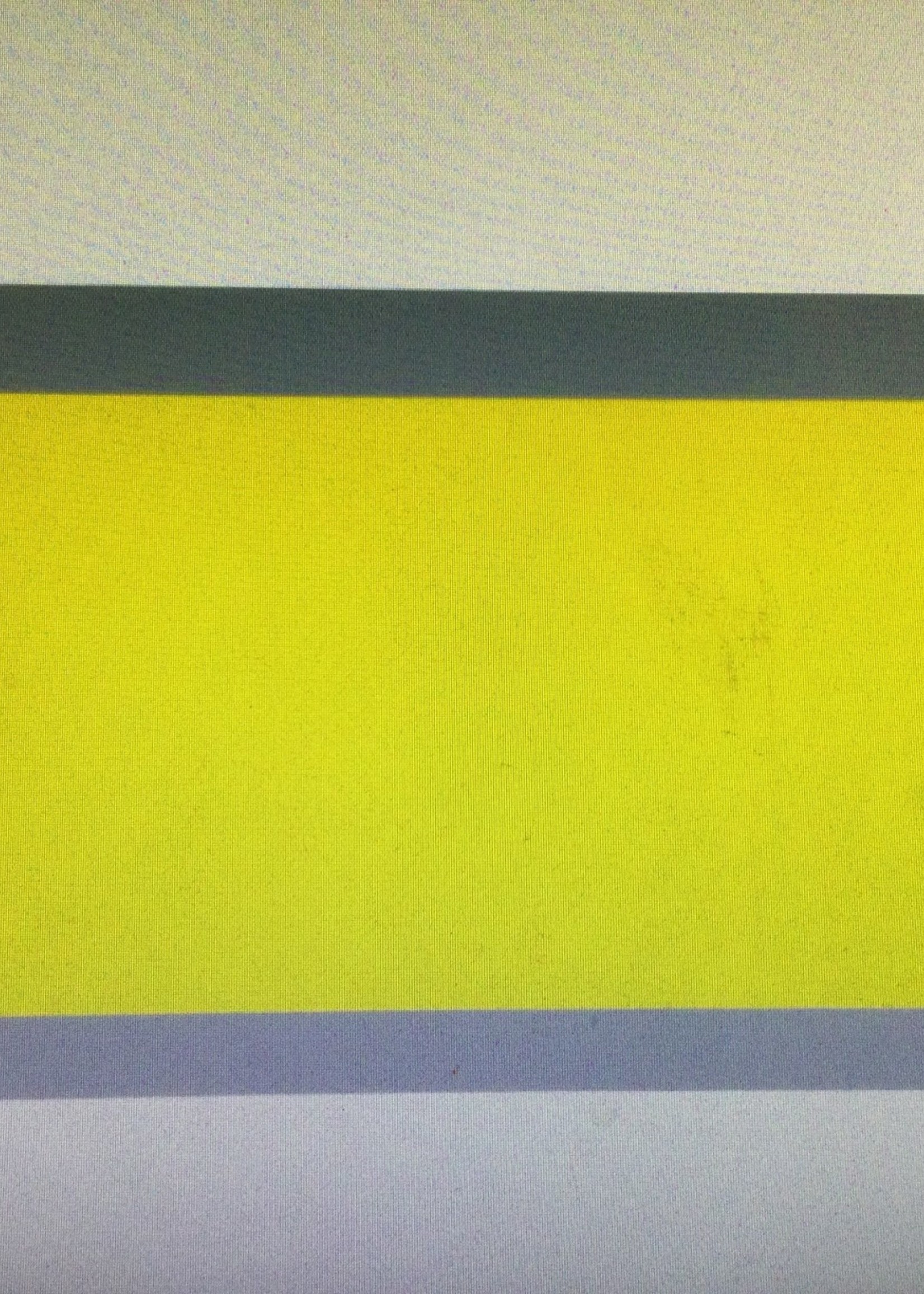 Yellow Big Reading Guide
