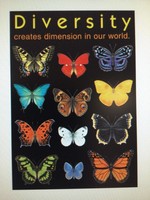 Diversity Butterfly Poster