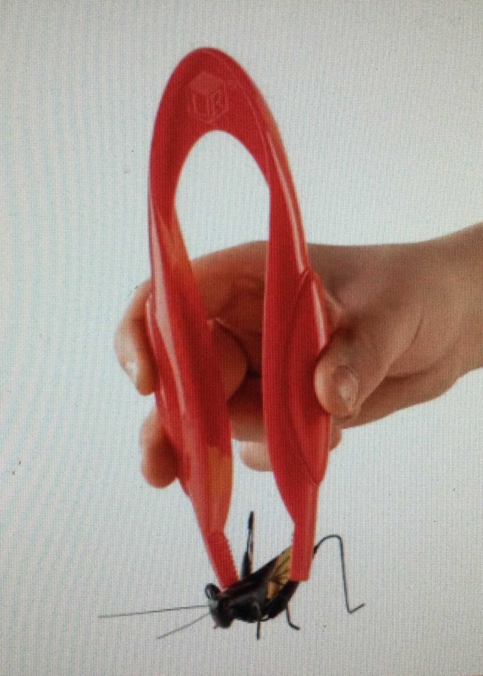 Jumbo Tweezer Singles