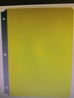 Yellow Full Page Reading Guide