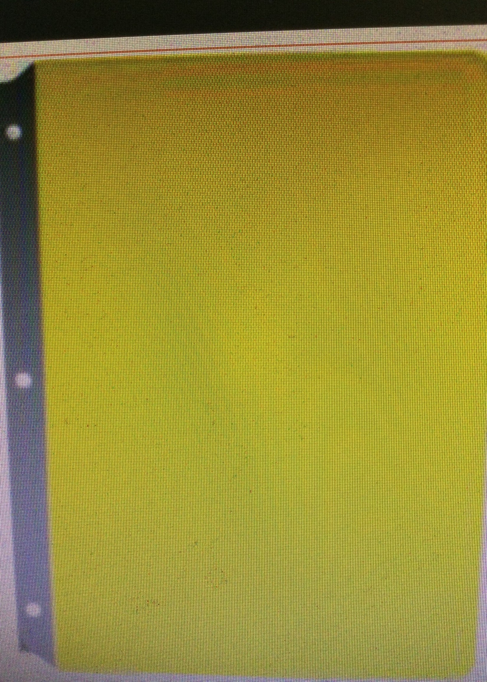 Yellow Full Page Reading Guide