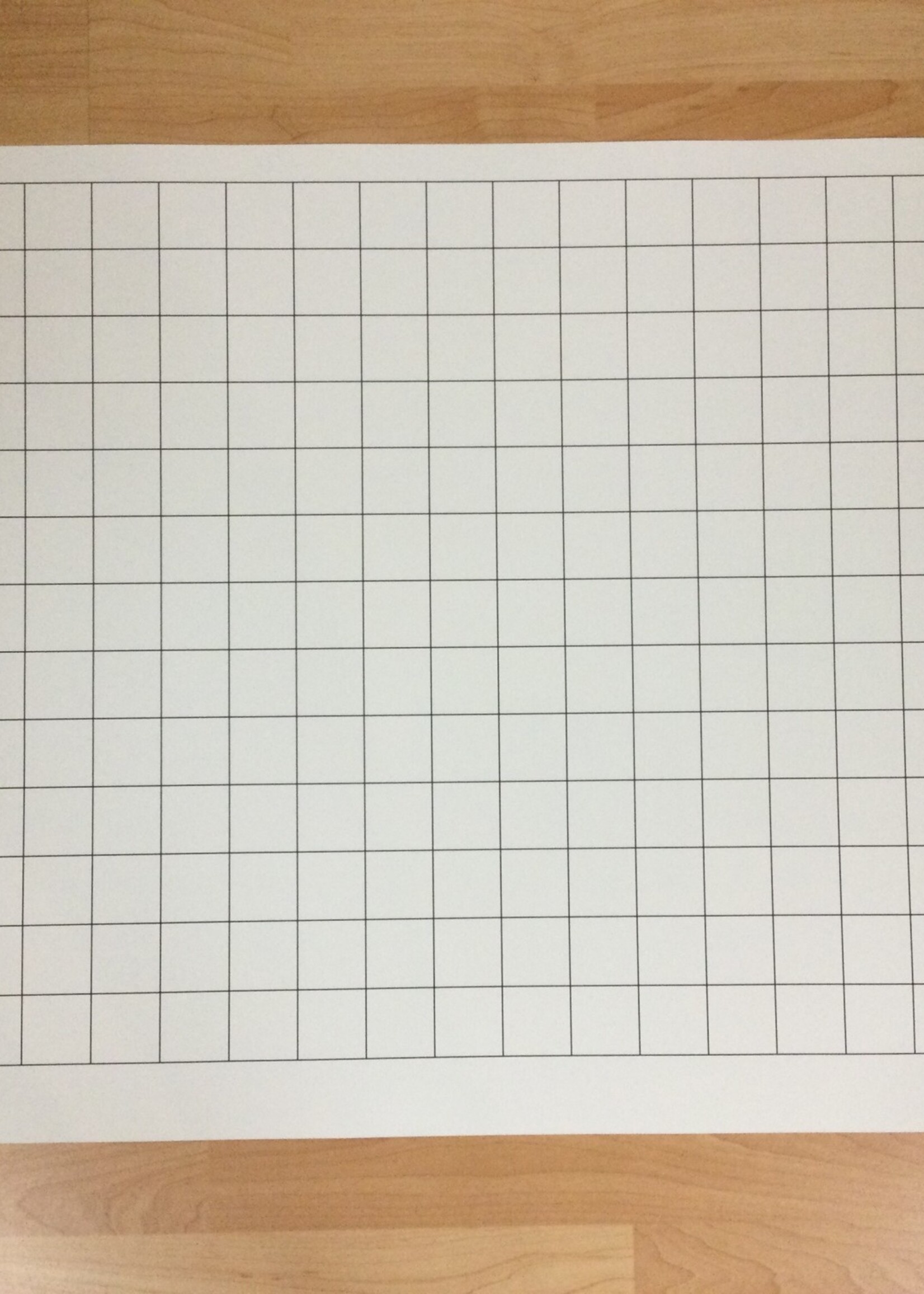 Graphing Grid XL Wipe-Off Chart