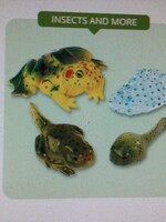Frog Life Cycle Figurines
