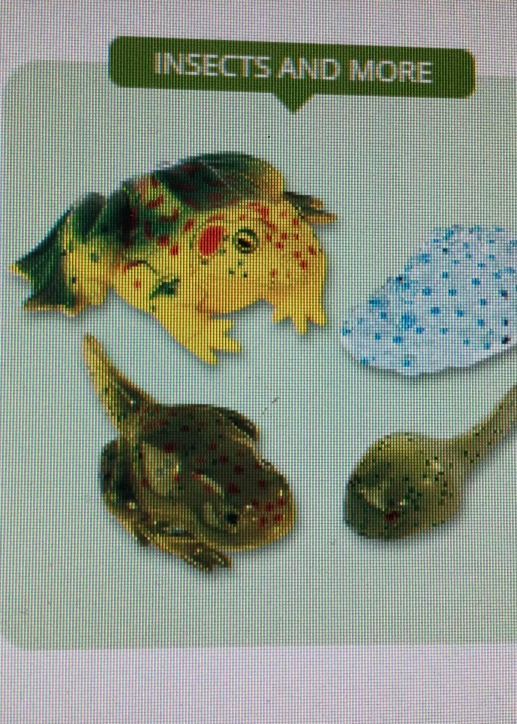 Frog Life Cycle Figurines