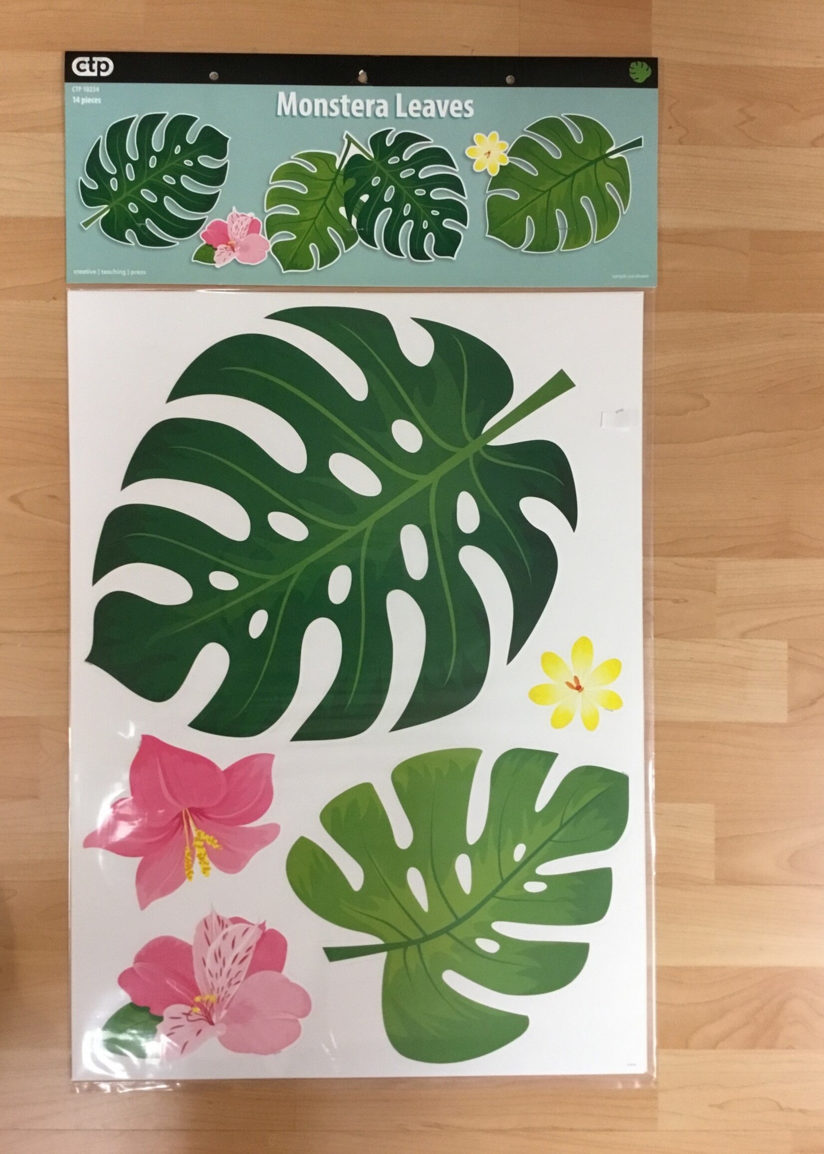 Monstera Leaves BB Set