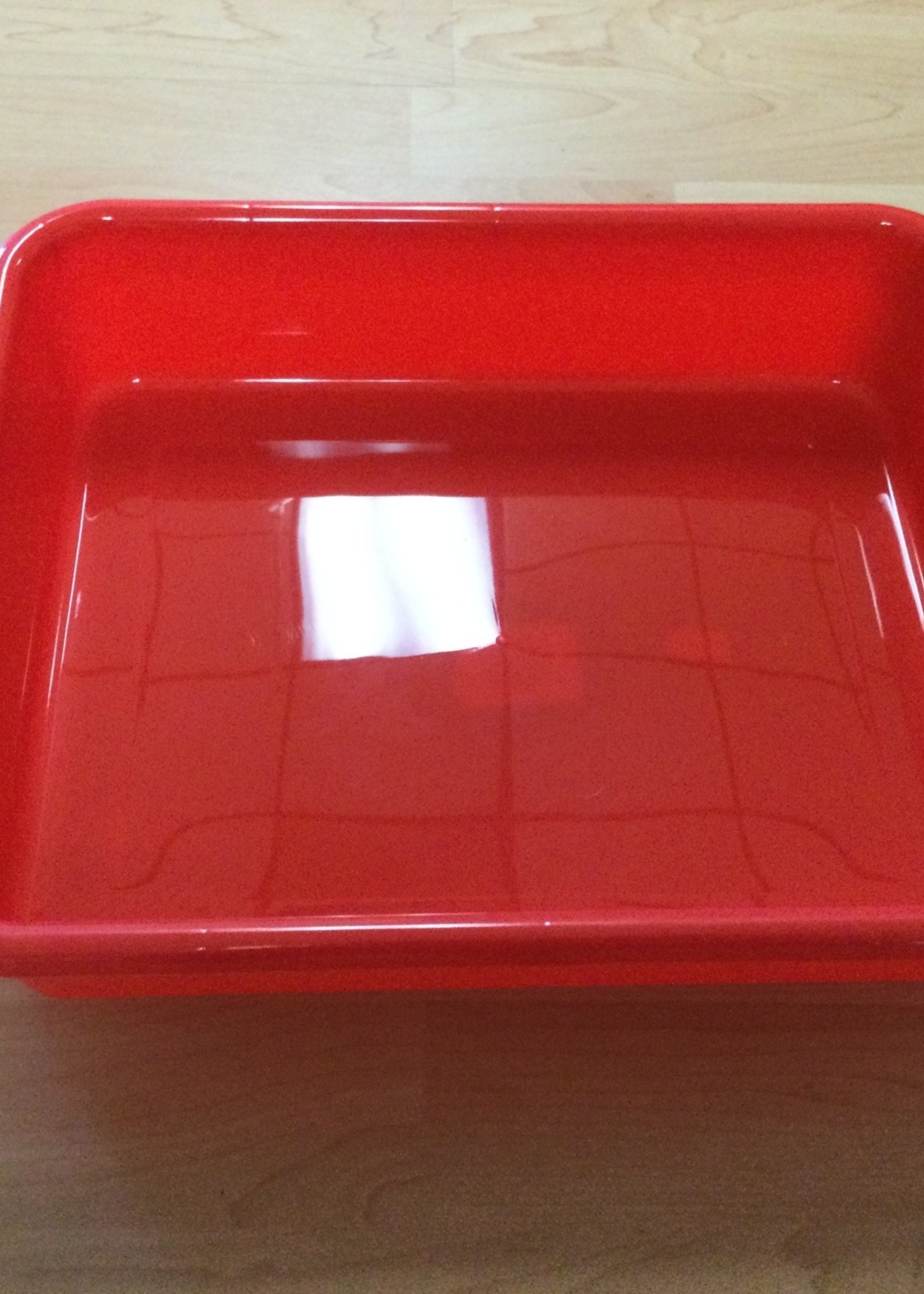 Red Large Plastic Letter Tray