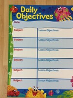 Sea Buddies Daily Objective Chart