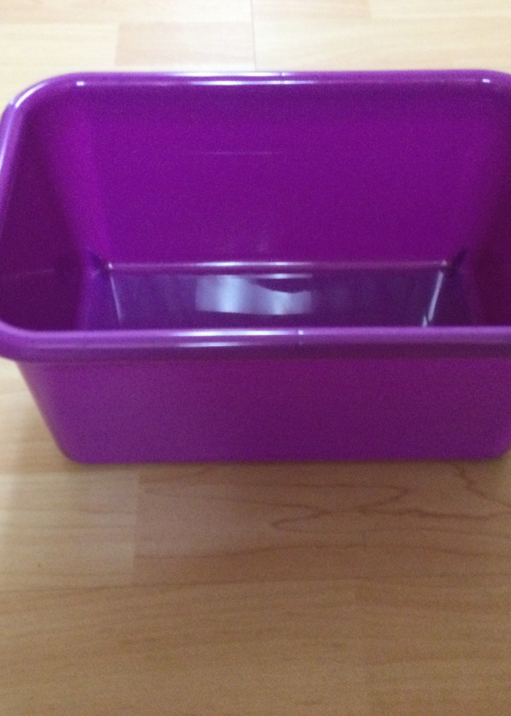 Purple Small Plastic  Bin