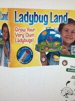 Ladybug Land