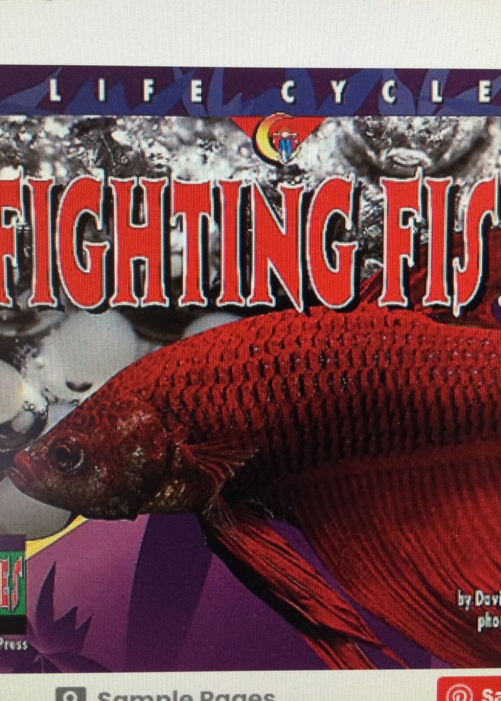 Life Cycles: Fighting Fish