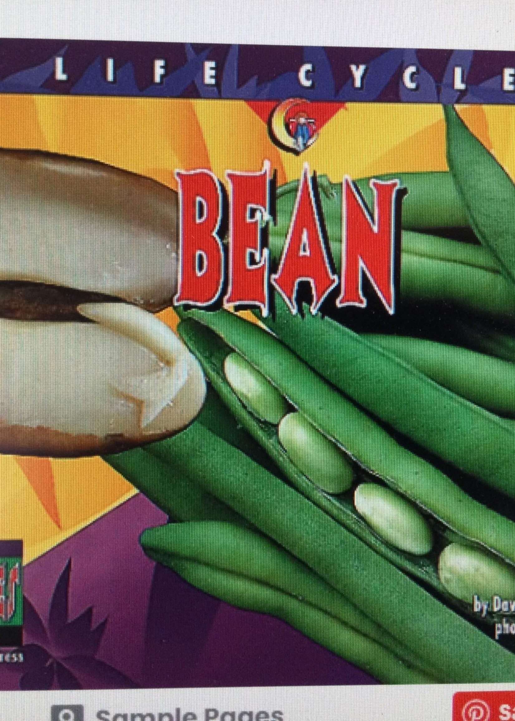 Life Cycles: Bean