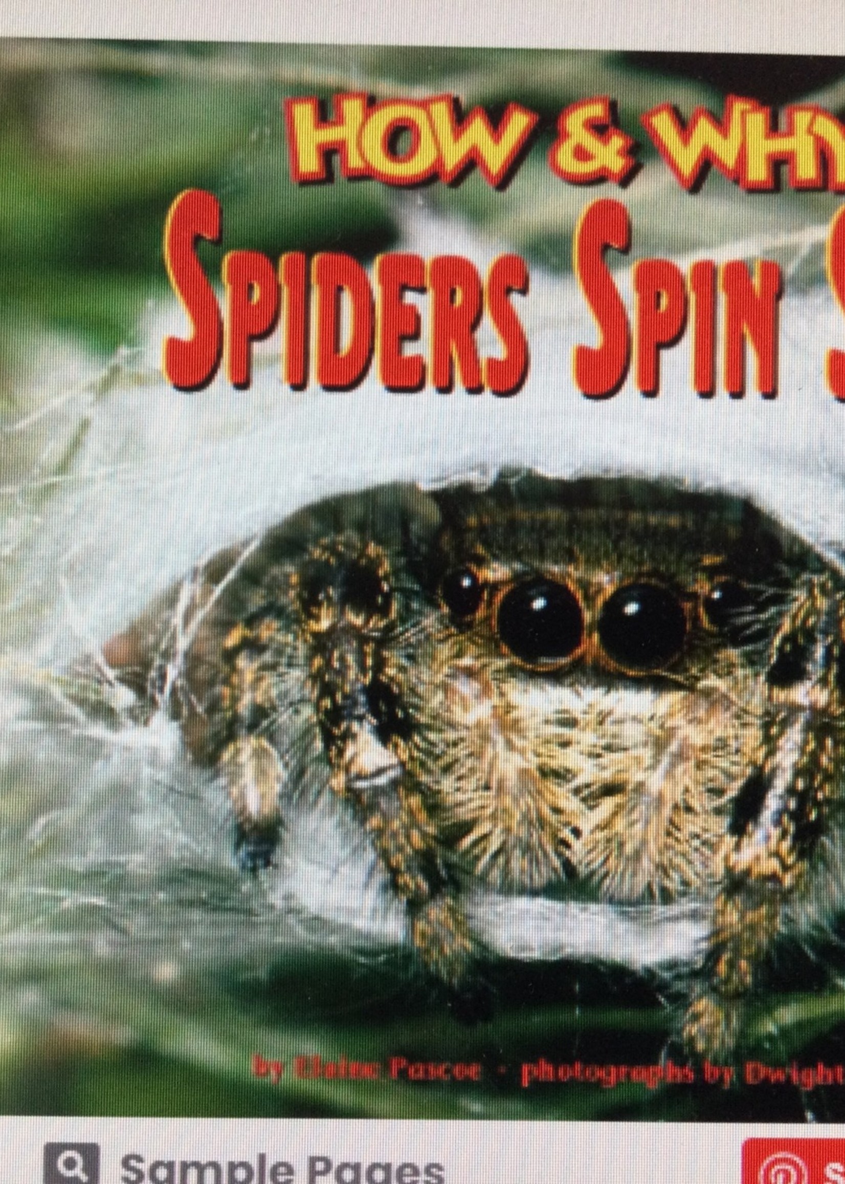 How & Why Spiders Spin Silk