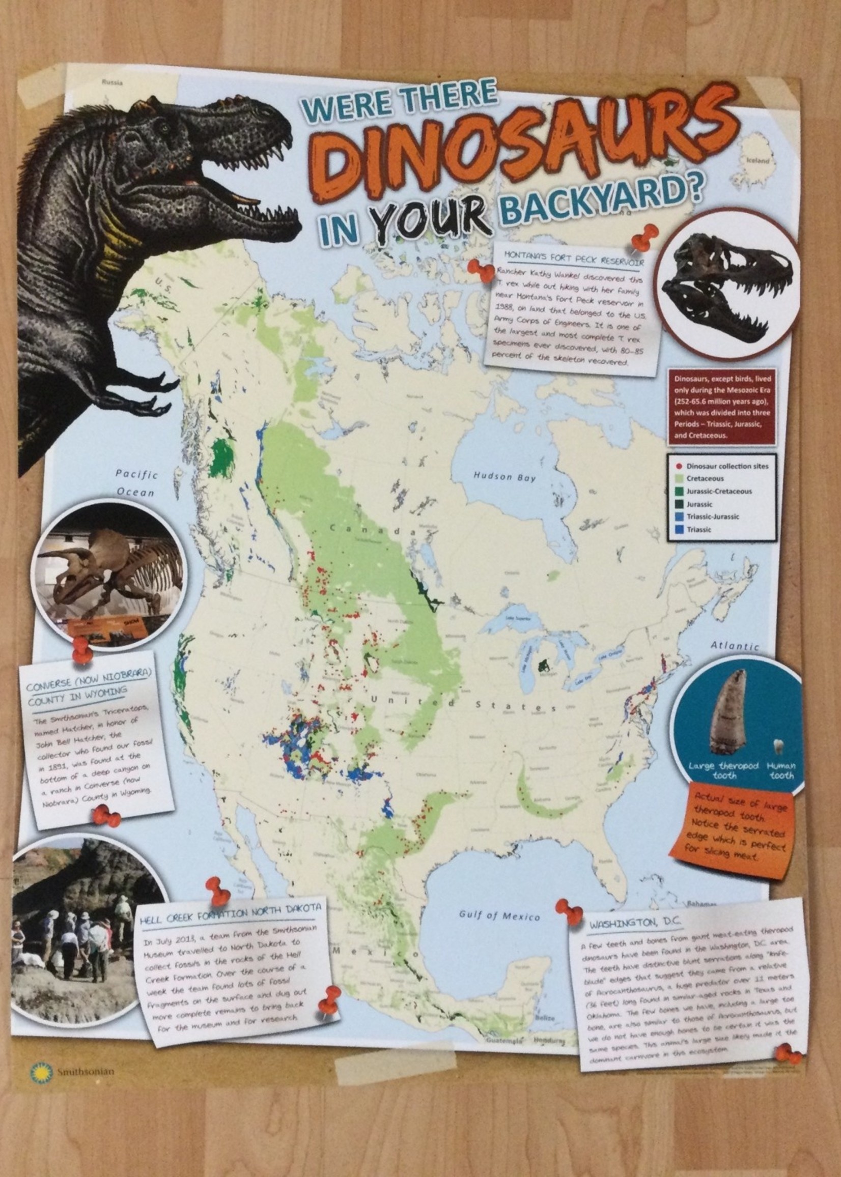 Were There Dinosaurs Poster School Spot