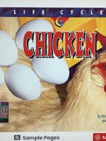 Life Cycles: Chicken
