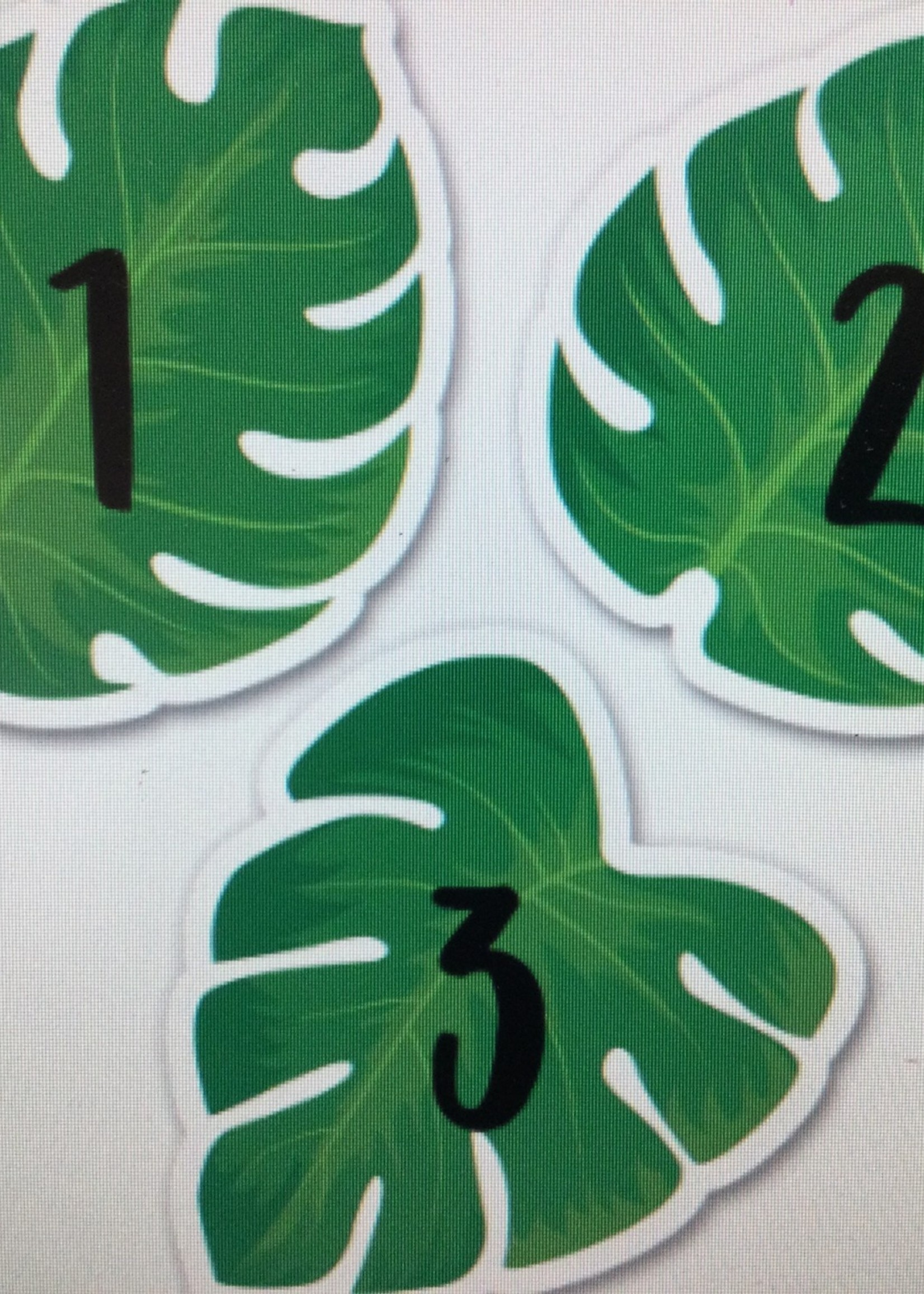 Monstera Leaves Calendar Pieces