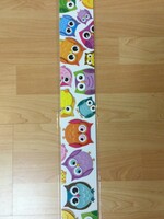 Colorful Owls Straight Border