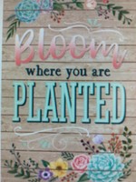Rustic Bloom Bloom Where You Are Planted Poster